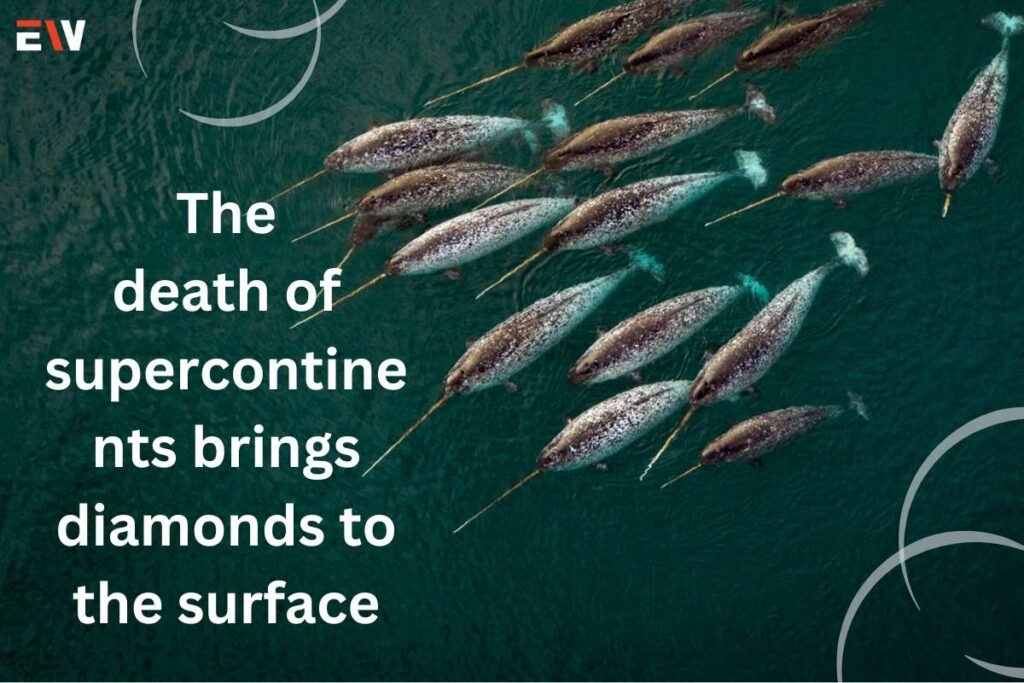 The death of supercontinents brings diamonds to the surface