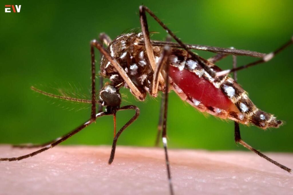 Microbe stops mosquitoes from harboring malaria parasite