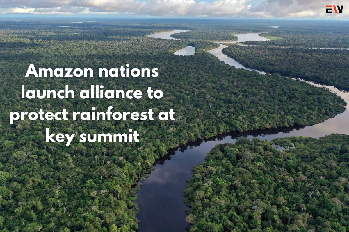 Amazon nations launch alliance to protect rainforest at key summit | Enterprise Wired