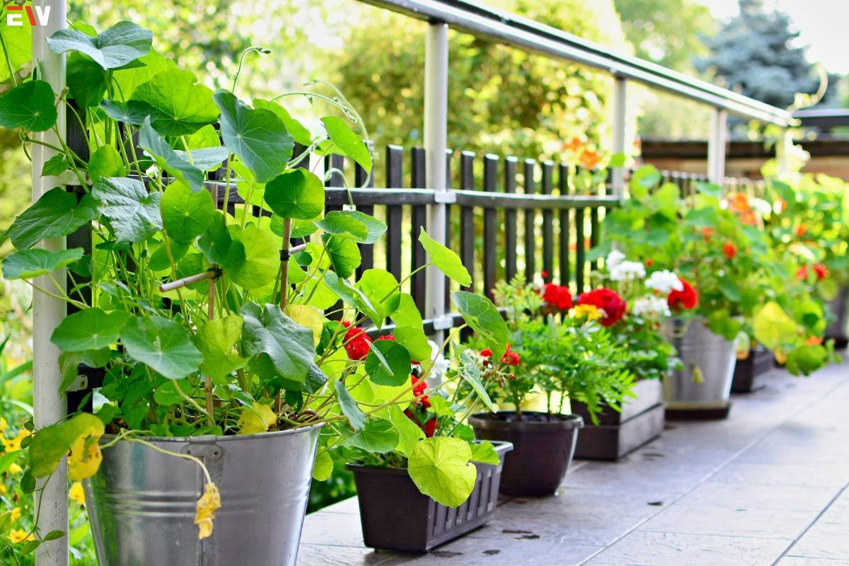 10 Doubtless Tactics for Successful Gardening on Terrace | Enterprise Wired