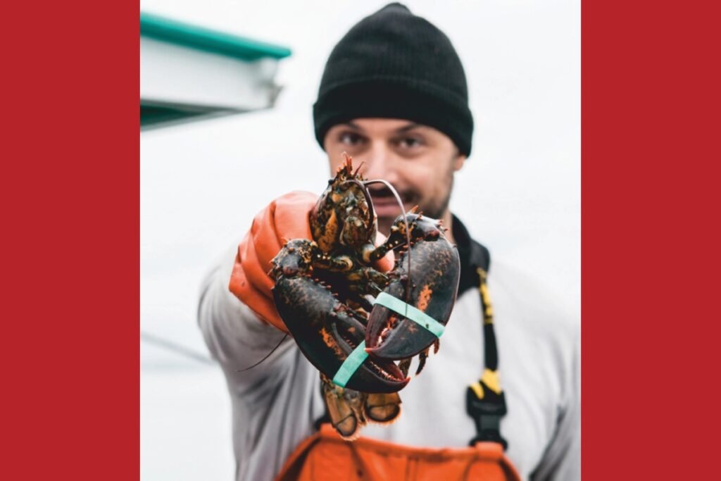 Outback Steakhouse USA: From Humble Beginnings to American Culinary Icon