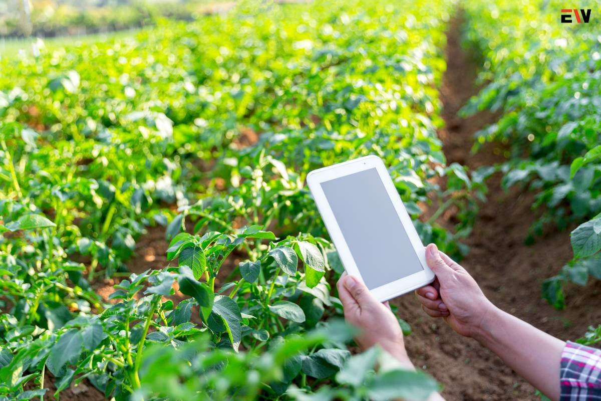 How Precision Farming in Agriculture is Revolutionizing the Entire Sector?