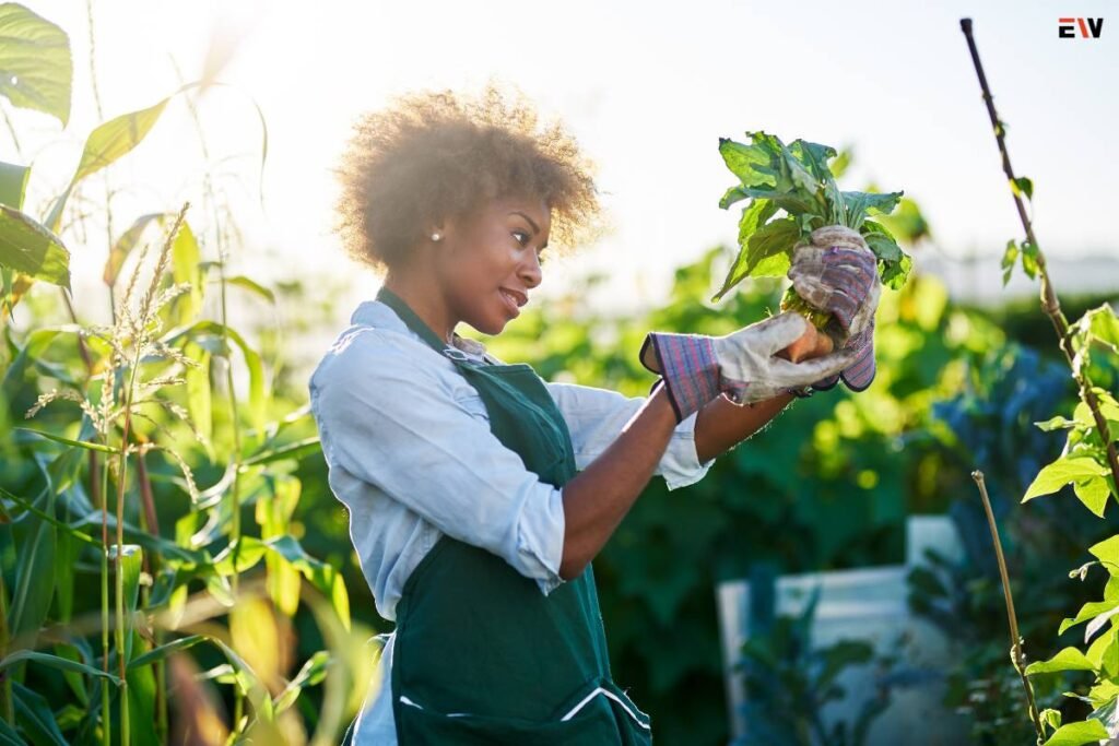 Cultivating Sustainability: The Importance and Strategies of Environmental Education
