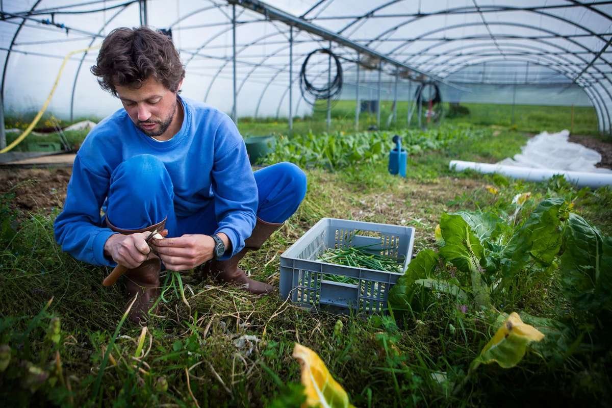 10 Green Technology That Go Beyond Solar Panels | Enterprise Wired
