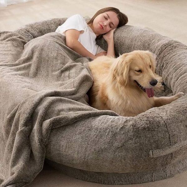 Enhancing Sleep Harmony Human Beds with Dog Beds Enterprise Wired