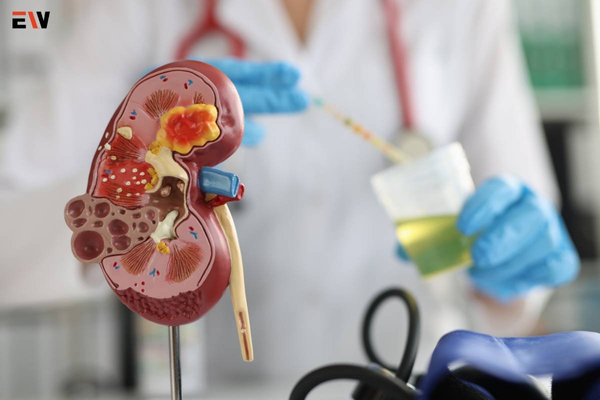 IgA nephropathy Symptoms, Causes, And Treatment | Enterprise Wired