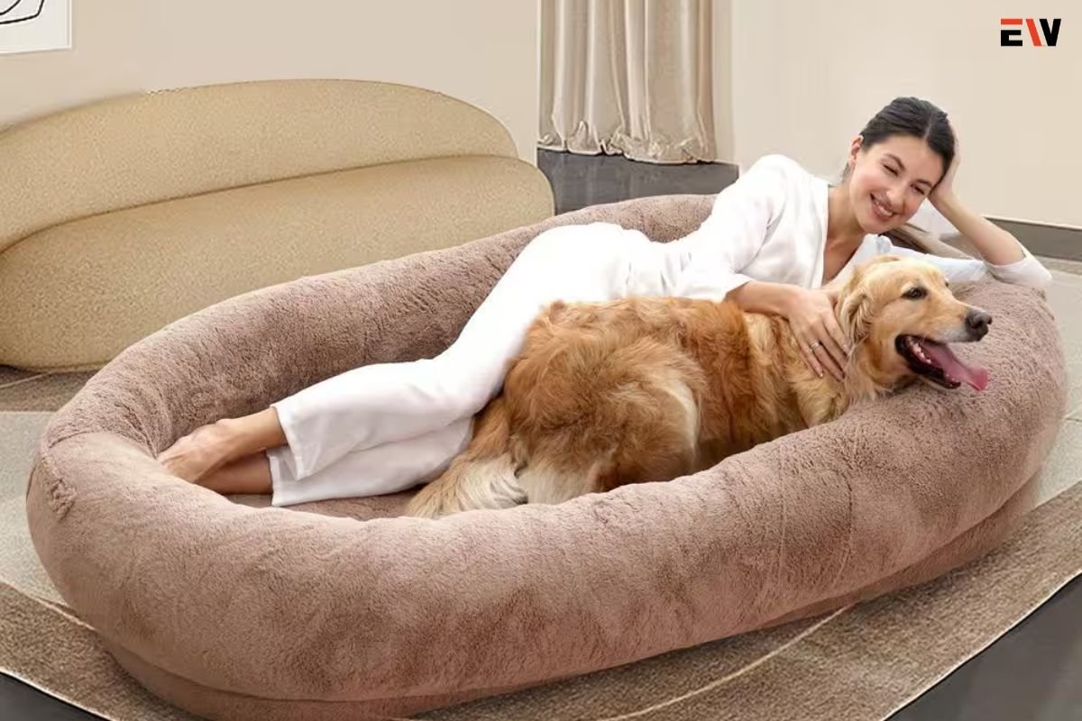 Enhancing Sleep Harmony: Human Beds with Dog Beds | Enterprise Wired