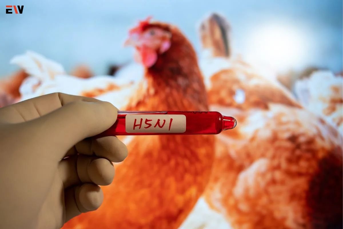 Bird Flu Spreads Across Species: A New Global Health Challenge