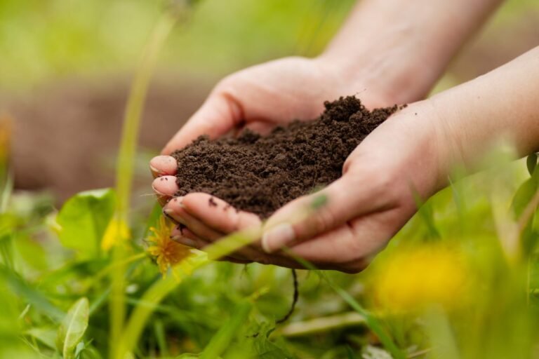 7 Sustainable Farming Practices: A Guide to Eco-Friendly Agriculture ...