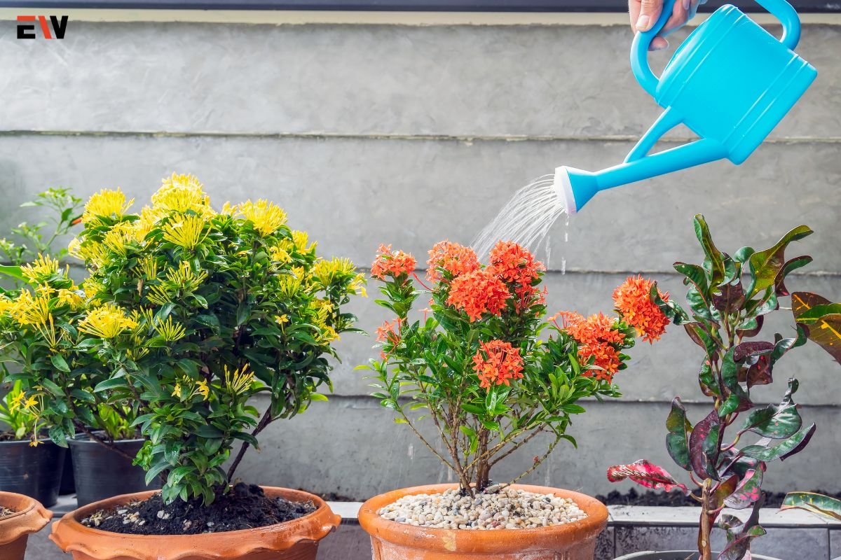 The Ultimate Guide to Apartment Gardening | Enterprise Wired