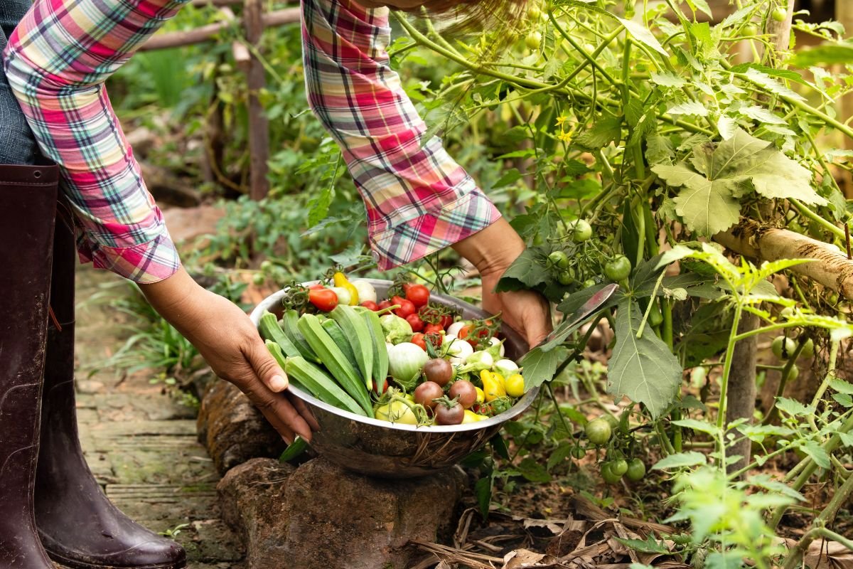 7 Sustainable Farming Practices: A Guide to Eco-Friendly Agriculture | Enterprise Wired