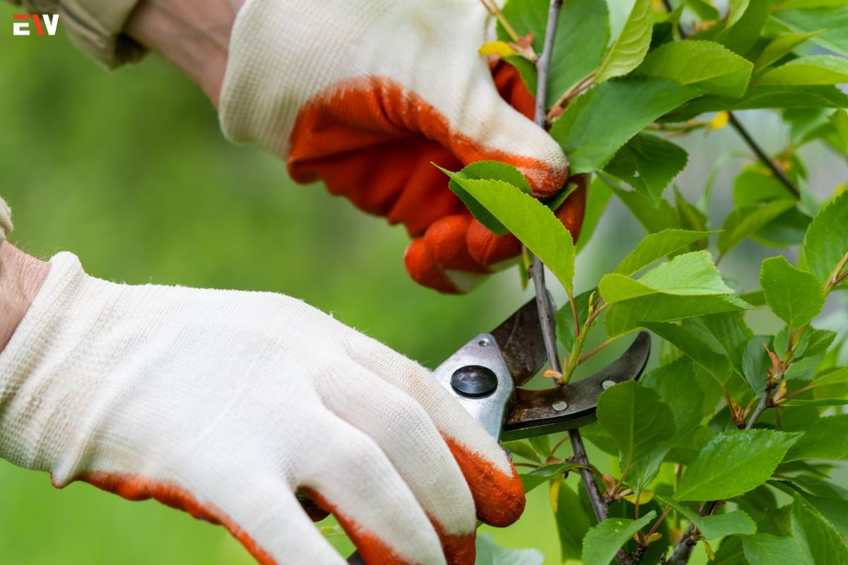 The Ultimate Guide to Apartment Gardening | Enterprise Wired