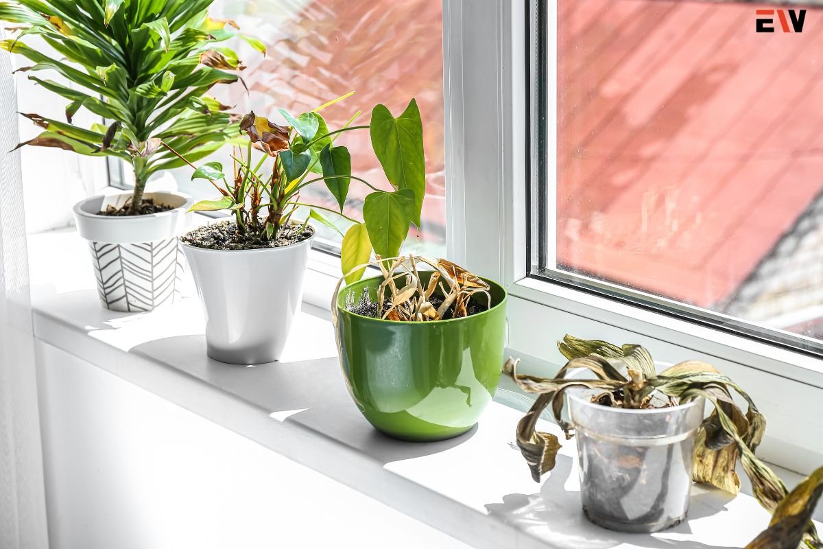 The Ultimate Guide to Apartment Gardening | Enterprise Wired