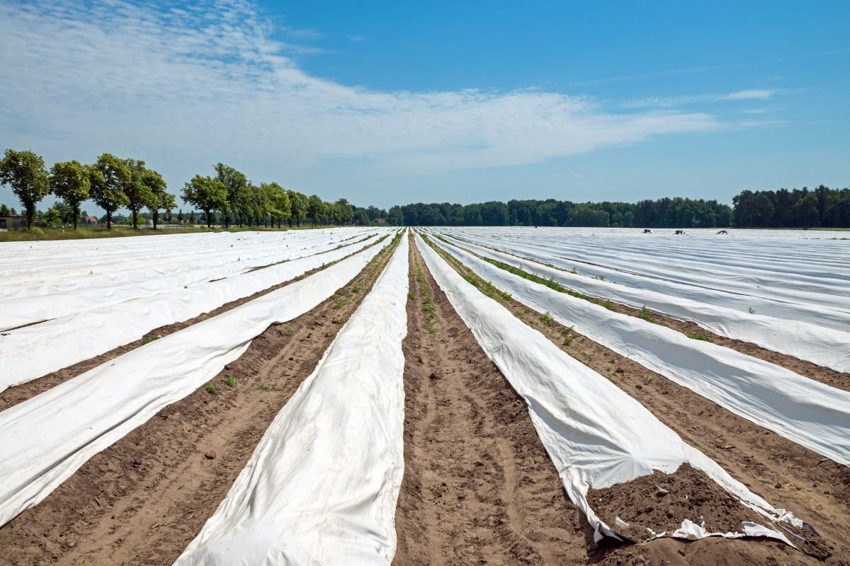 5 Principles of Soil Health: Foundation for Sustainable Agriculture | Enterprise Wired