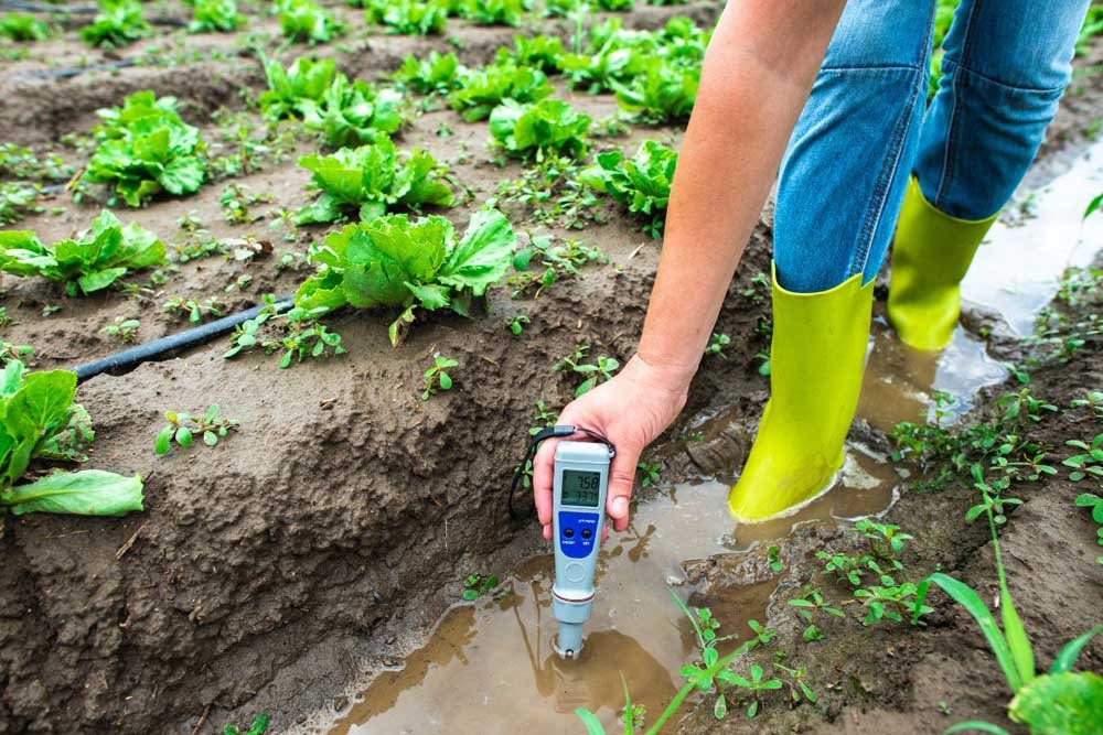 5 Principles of Soil Health: Foundation for Sustainable Agriculture | Enterprise Wired