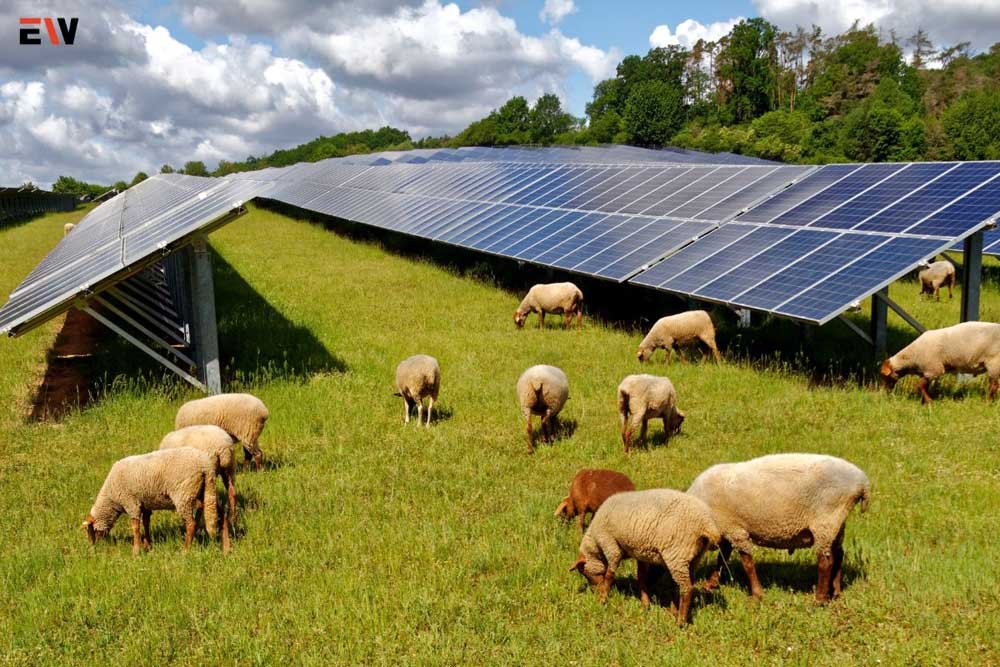 Solar Farm Mowers: The Future of Eco-Friendly Solar Maintenance | Enterprise Wired