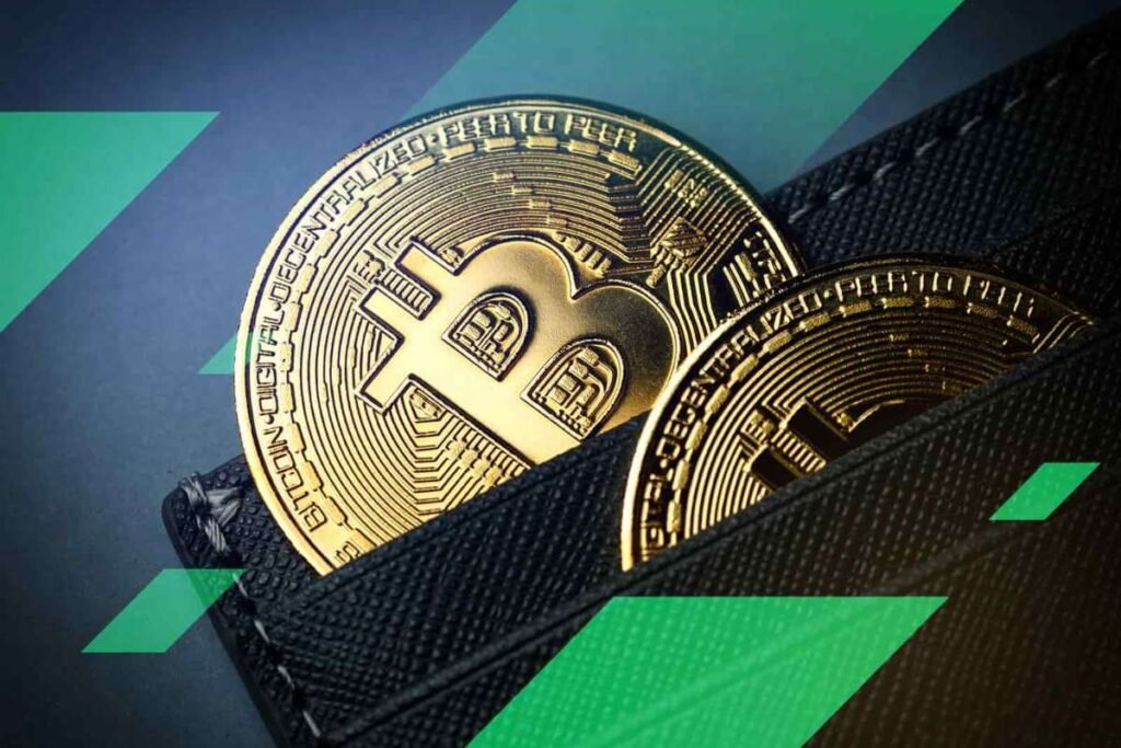 6 Best Bitcoin Wallets in USA To Elevate Your Crypto Game