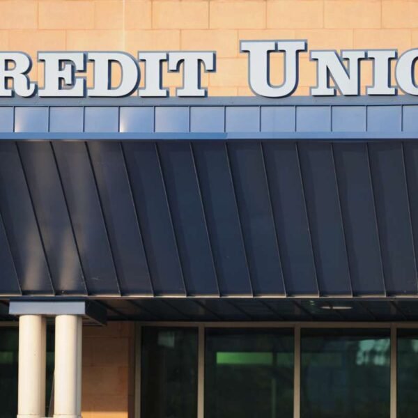 How Do Credit Unions Operate: A Detailed Guide?