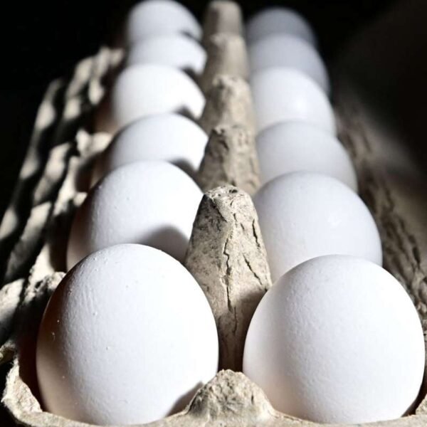 Egg Prices Surge Amid Bird Flu Outbreak: Are Producers Profiting from the Crisis?