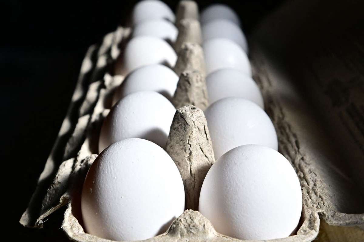 Egg Prices Surge Amid Bird Flu Outbreak: Are Producers Profiting from the Crisis?