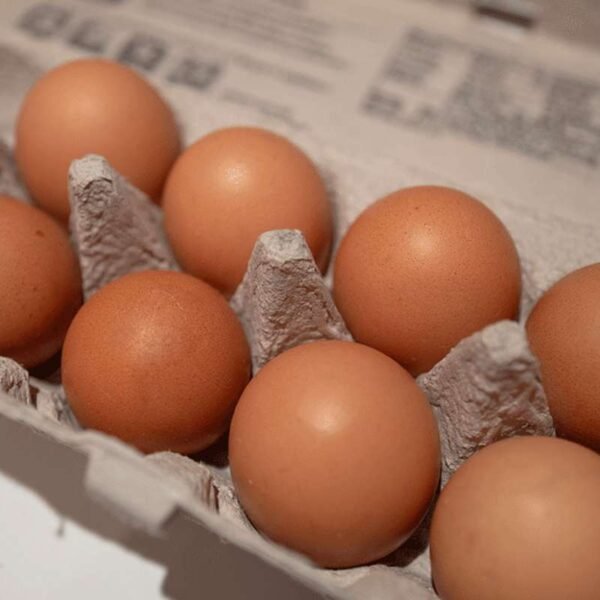 Massive Egg Heist in Pennsylvania Leaves Police Scrambling for Clues