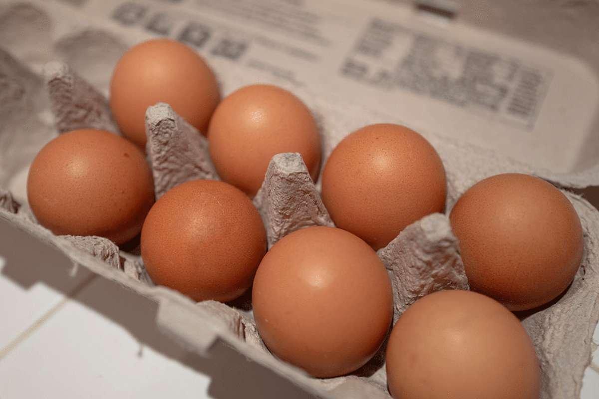 Massive Egg Heist Shocks Pennsylvania Town, Cops Seek Leads | Enterprise Wired