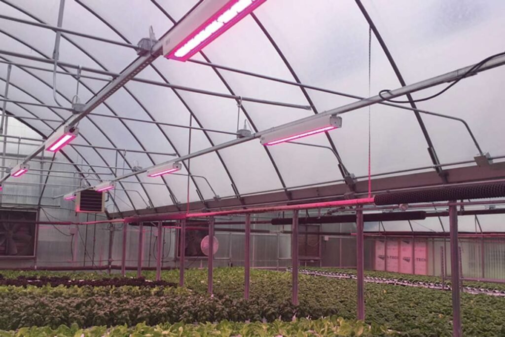 Greenhouse Lighting: Boost Growth with Ideal Illumination | Enterprise Wired