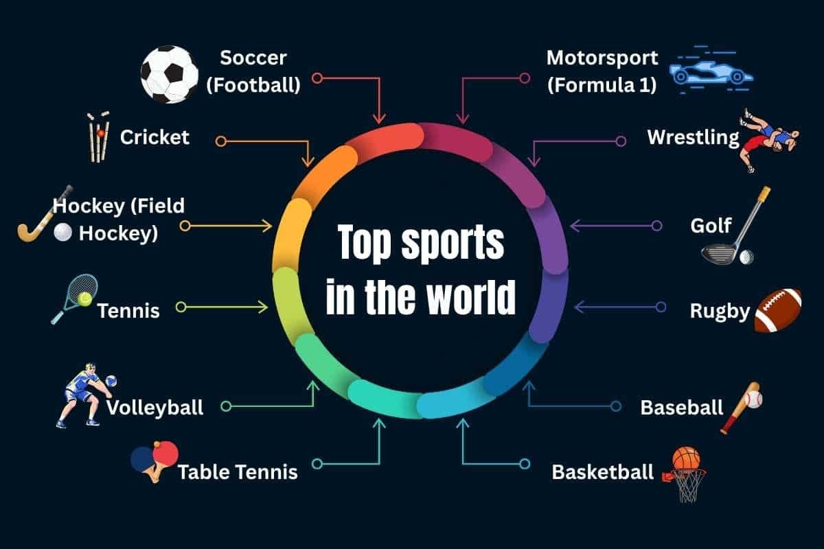 Top Sports in the World: 12 Games That Unite Global Fans | Enterprise Wired