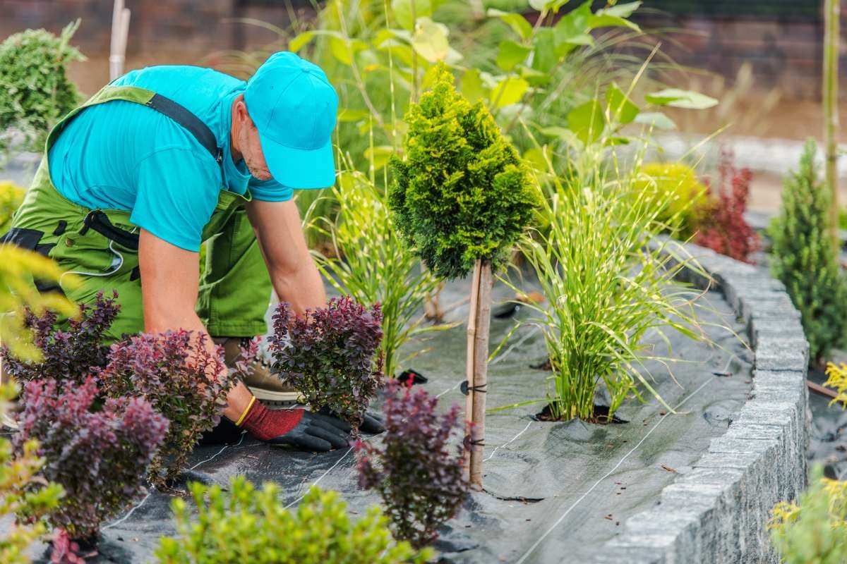 40 Home-Based Business Ideas That You Can Start From Your Doorstep | Enterprise Wired