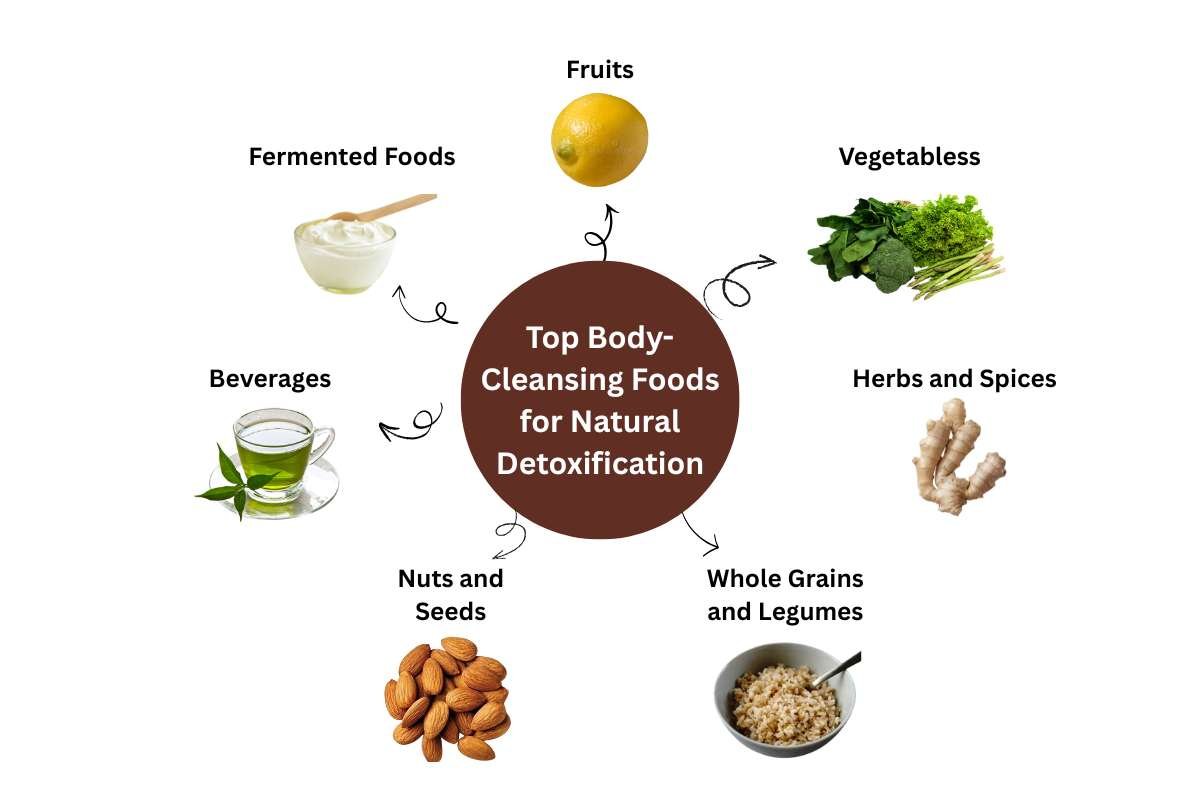 Everyday Body-Cleansing Foods to Detox, Improve Digestion, and Feel Lighter | Enterprise Wired