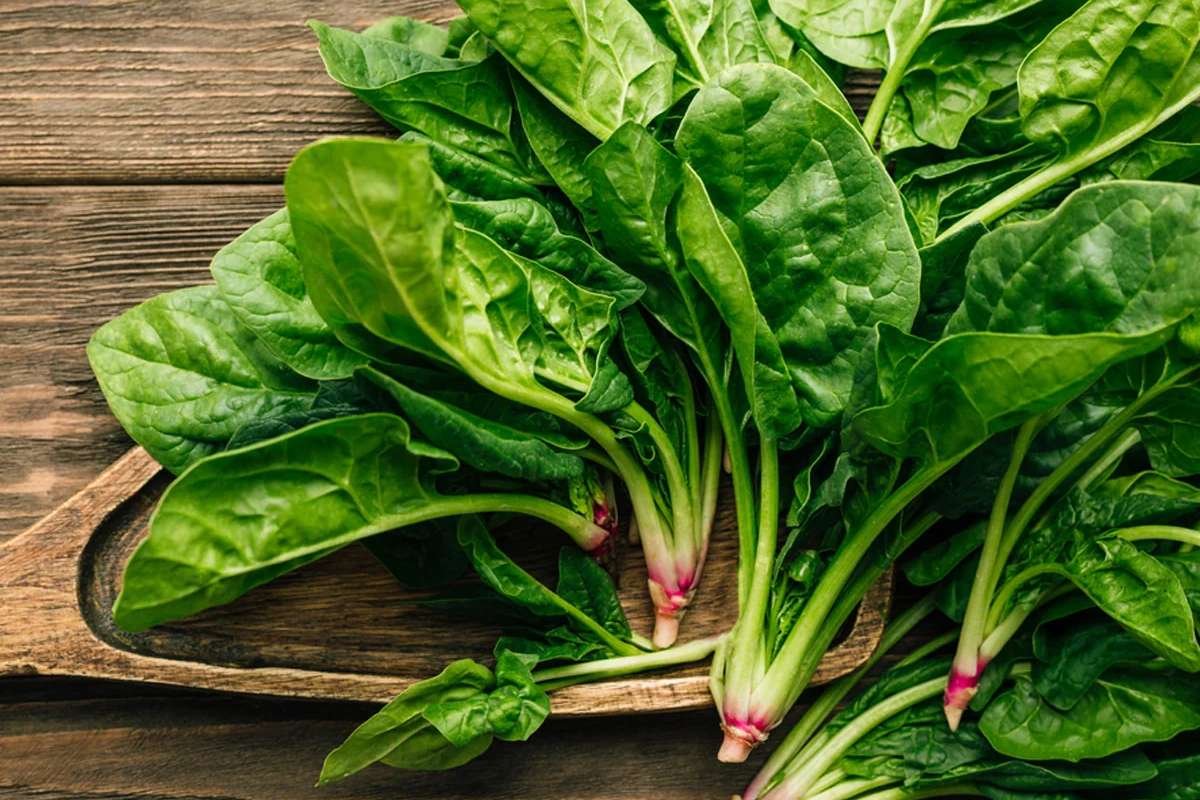 Everyday Body-Cleansing Foods to Detox, Improve Digestion, and Feel Lighter | Enterprise Wired