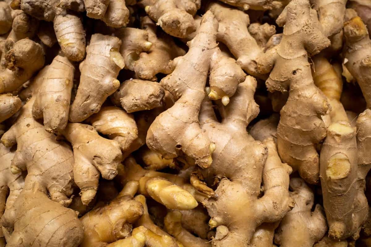 Everyday Body-Cleansing Foods to Detox, Improve Digestion, and Feel Lighter | Enterprise Wired