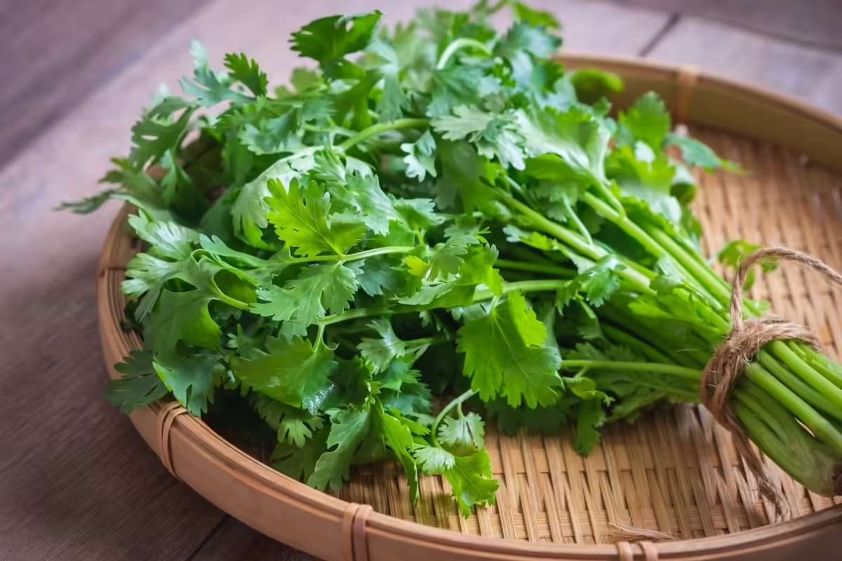 Everyday Body-Cleansing Foods to Detox, Improve Digestion, and Feel Lighter | Enterprise Wired