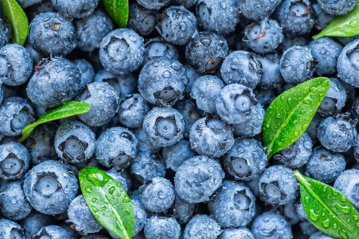 Everyday Body-Cleansing Foods to Detox, Improve Digestion, and Feel Lighter | Enterprise Wired