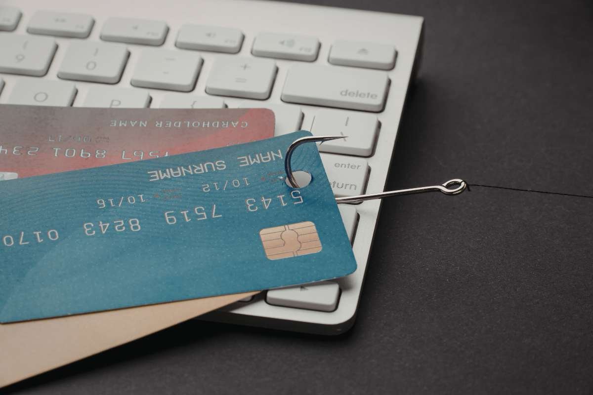 Olivia Grigorita's Images