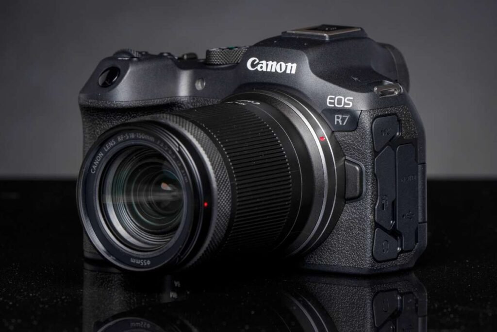 Don’t Miss the Shot: Best Camera for Wildlife Photography That Pros Swear By in 2026 | Enterprise Wired