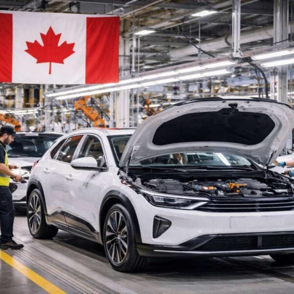 thedailyscrumnews.com