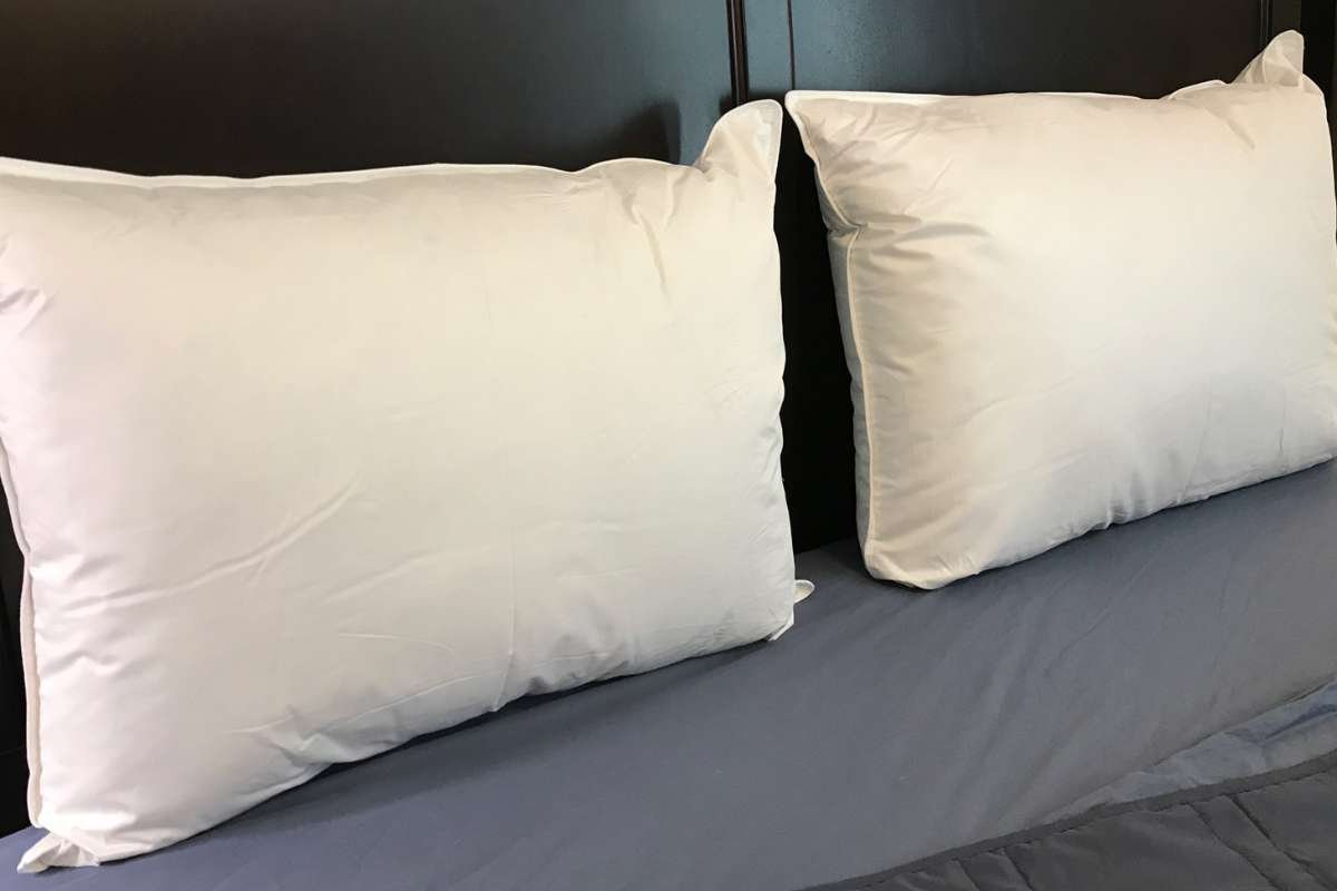 Neck Stiffness Keeping You Awake? Try These 12 Best Pillows for Neck Pain | Enterprise Wired