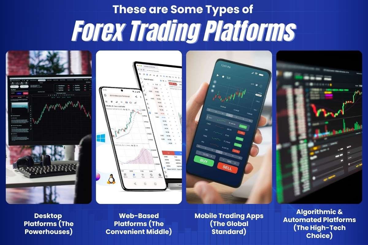 What Experienced Traders Look for in a Forex Trading Platform? | Enterprise Wired
