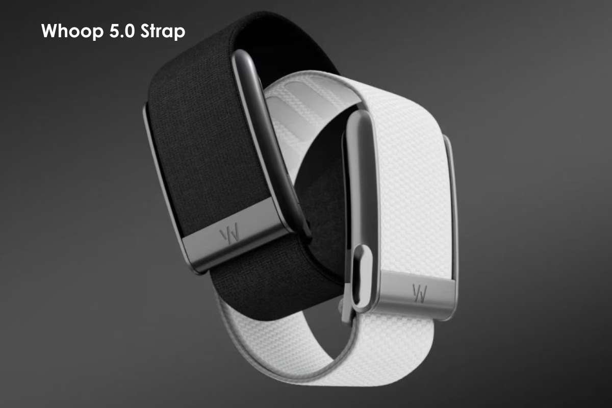 The 8 Best Fitness Trackers to Stay Active and Consistent | Enterprise Wired