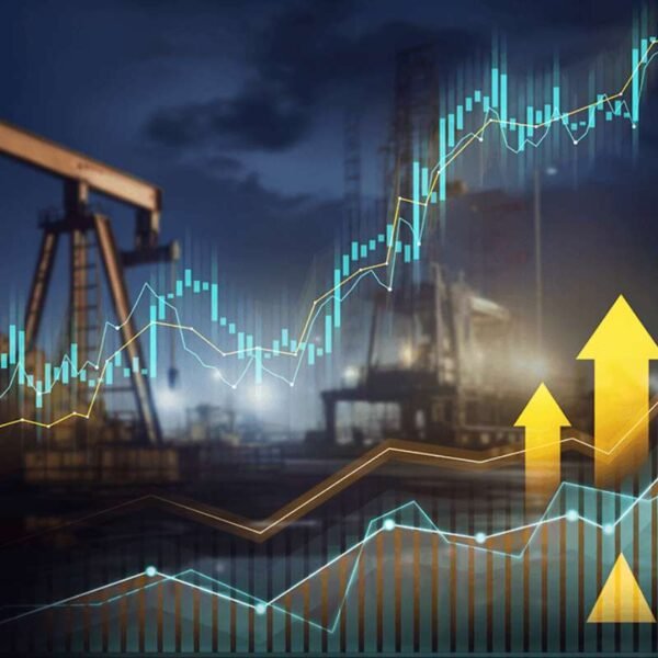 tradfi.multibankgroup.com