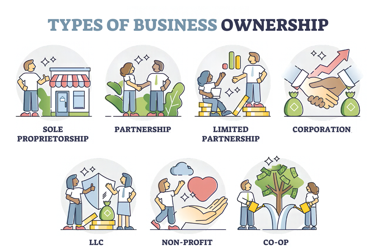 Types of Business Ownership Explained for New Founders | Enterprise Wired